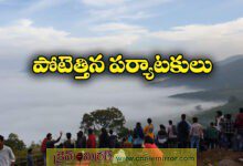 Tourists flock to Lambasinghi amid falling snow