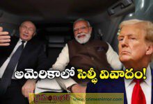 US Congresswoman blasts Trump's India strategy as cutting our nose to spite our face