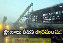 Yamuna Expressway Accidents: 13 Burnt To Death In Multi Car Pile Up On Delhi-Agra Expressway Fog