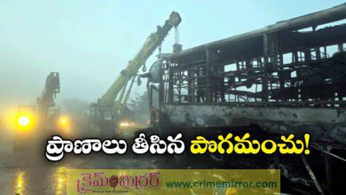 Yamuna Expressway Accidents: 13 Burnt To Death In Multi Car Pile Up On Delhi-Agra Expressway Fog