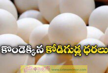 egg price hike in telangana and andhra pradesh