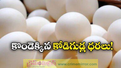 egg price hike in telangana and andhra pradesh