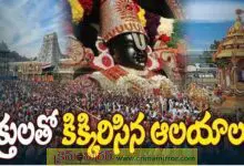 ముక్కోటి ఏకాదశి వేడుకలు: రాష్ట్రవ్యాప్తంగా వైకుంఠ ఏకాదశి వేడుకలు