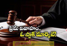 madras high court compares love marriages to stock market fluctuations