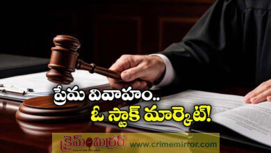 madras high court compares love marriages to stock market fluctuations