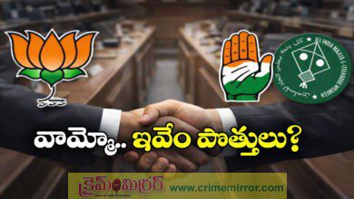 BJP’s Tie-Up With Congress, AIMIM in Maharashtra Sparks Row; Fadnavis Warns of Action, Congress Suspends Leaders