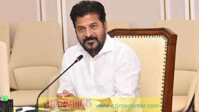 Good News: సంక్రాంతి కానుకగా మరో రెండు కొత్త పథకాలు..!