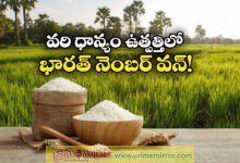 India Tops Global Rice Production, Overtakes China with Record 152 Million Tons