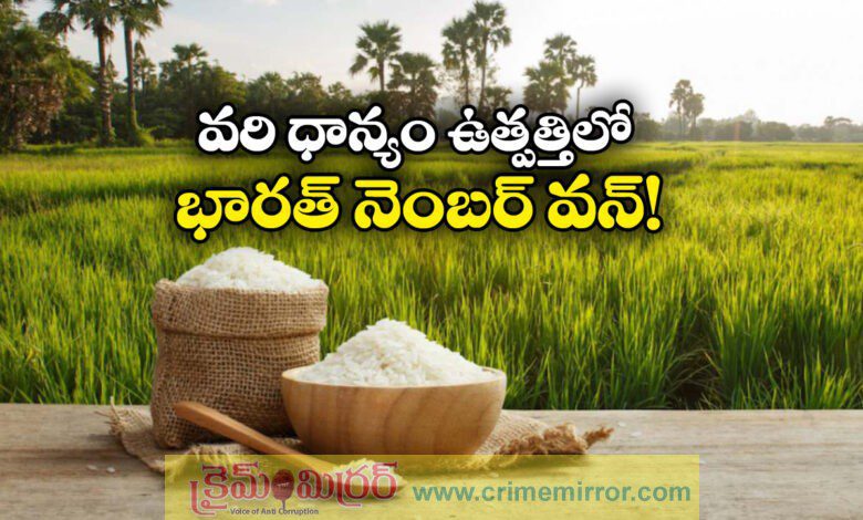 India Tops Global Rice Production, Overtakes China with Record 152 Million Tons