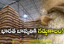 Indian Basmati Rice Exports to Iran Hit by Currency Crisis; Rs 2,000 Crore Stocks Stranded at Ports