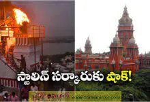 Karthigai Deepam Row: Madras High Court Upholds Order Allowing Lamp Lighting at Deepathoon