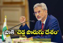 S Jaishankar called Pakistan a bad neighbour due to persistent terrorism