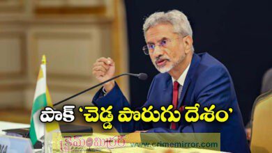 S Jaishankar called Pakistan a bad neighbour due to persistent terrorism