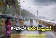 Weather Alert: Light to Moderate Rains Expected in Coastal Andhra Pradesh