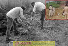వీధి కుక్కలను చంపిన సర్పంచ్‌,ఉప సర్పంచ్,కార్యదర్శుల పై కేసు ఫైల్