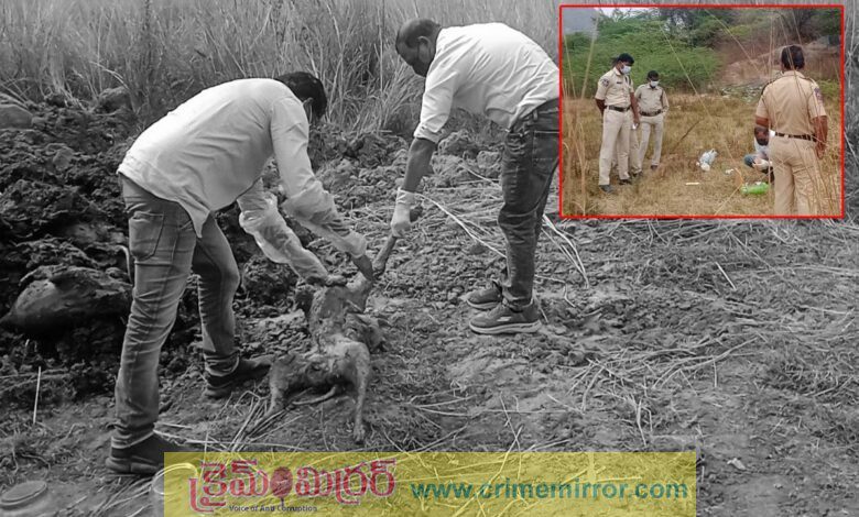 వీధి కుక్కలను చంపిన సర్పంచ్‌,ఉప సర్పంచ్,కార్యదర్శుల పై కేసు ఫైల్