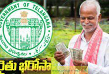 రైతు భరోసా అప్డేట్: జనవరి 26 నుండి భూమి లేని రైతు కూలీలకు కూడా..!